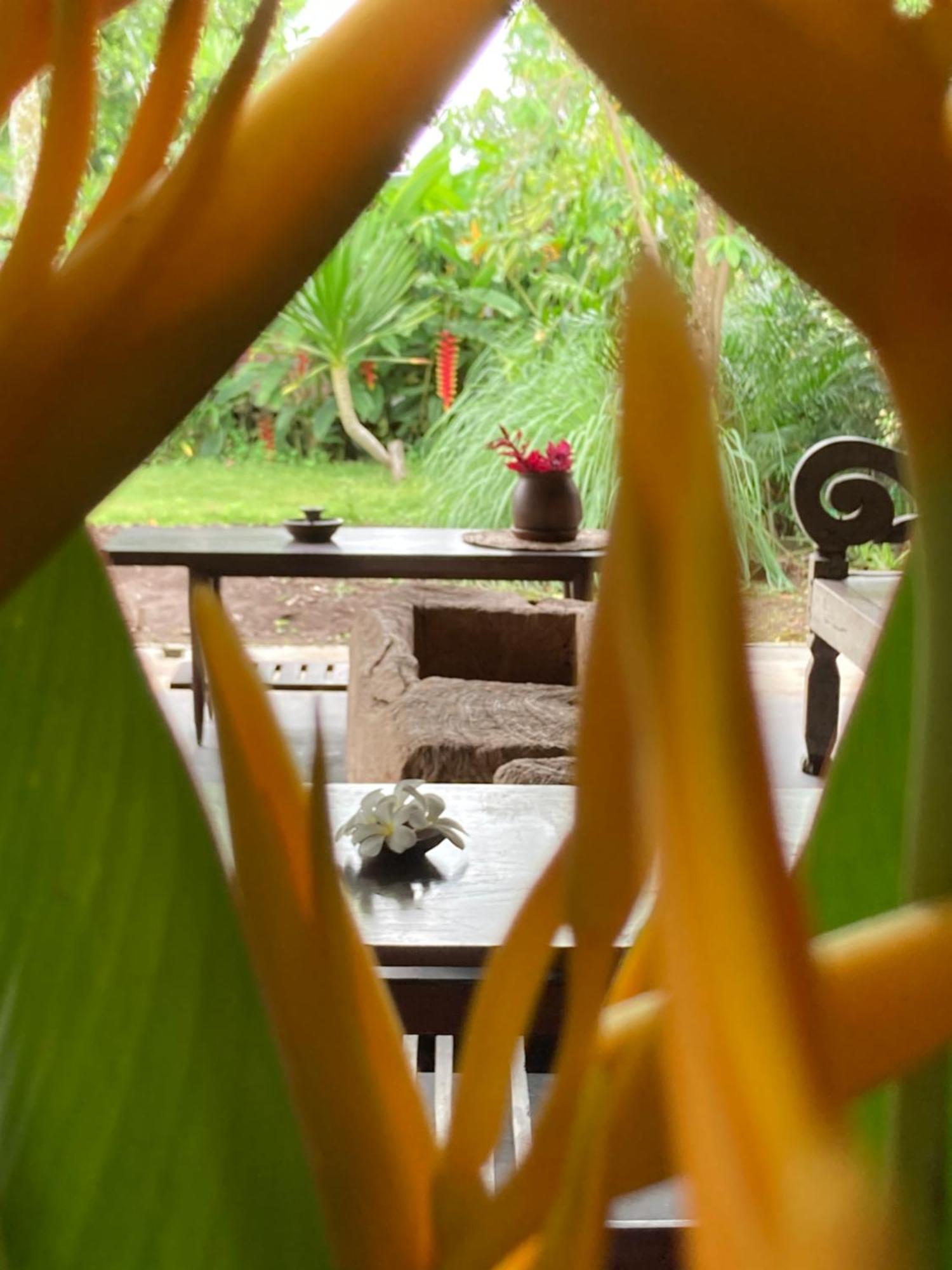 Ohmmstay - Rumah Pendopo Tanjungtirto Exteriör bild