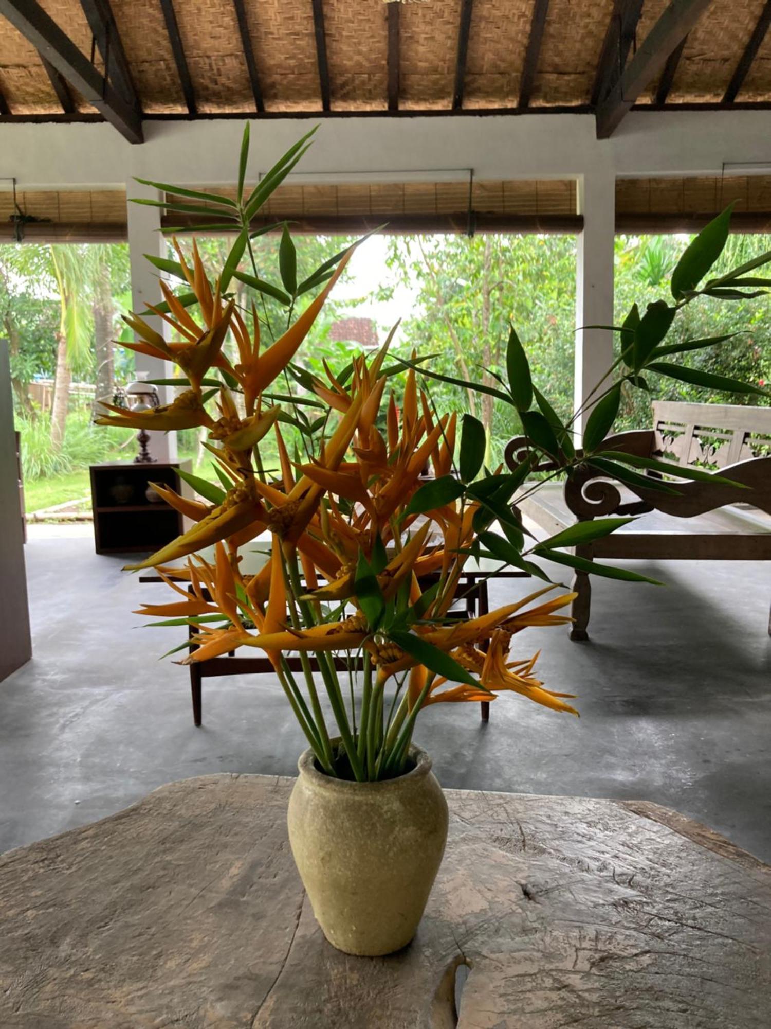 Ohmmstay - Rumah Pendopo Tanjungtirto Exteriör bild