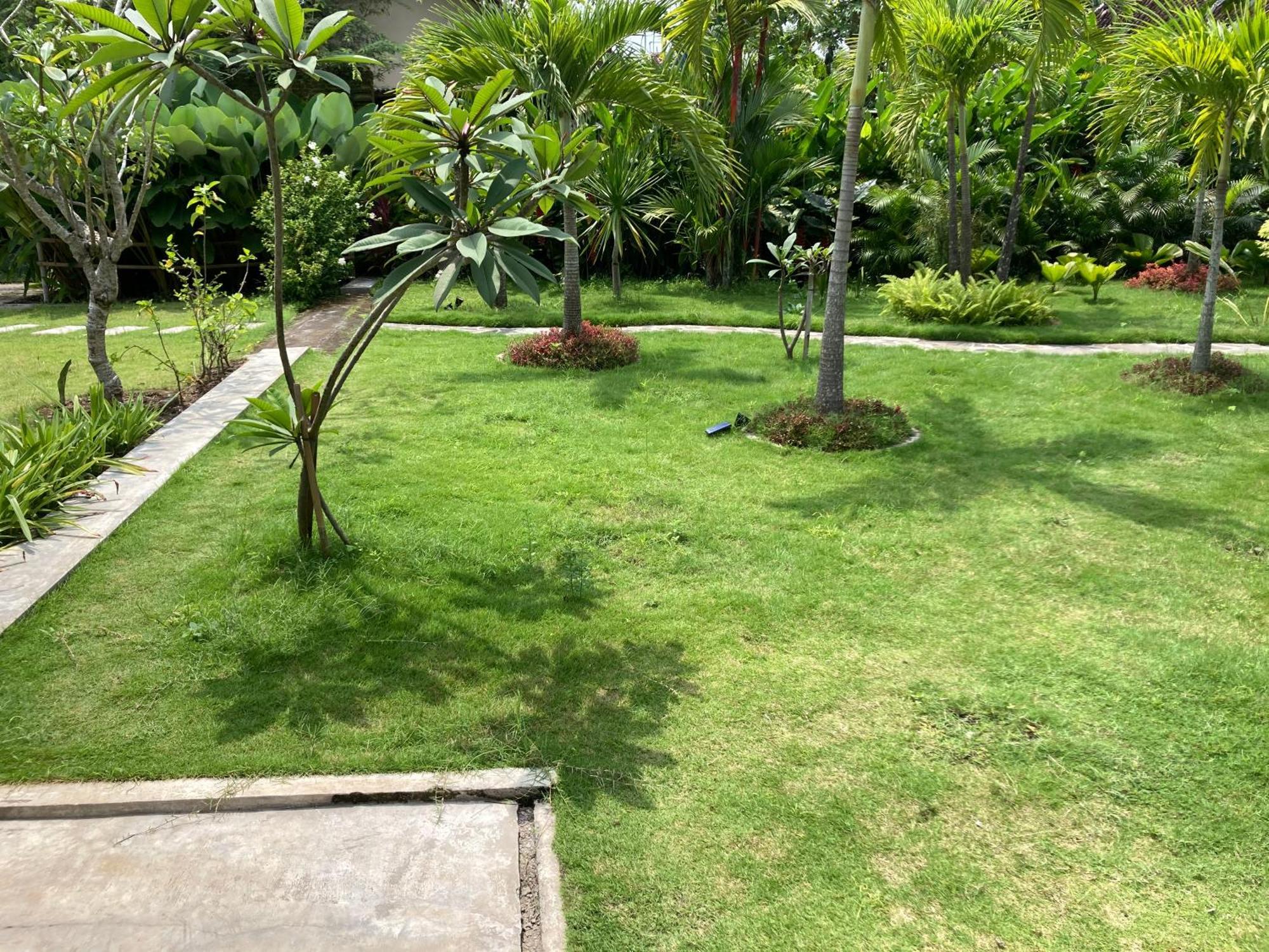 Ohmmstay - Rumah Pendopo Tanjungtirto Exteriör bild