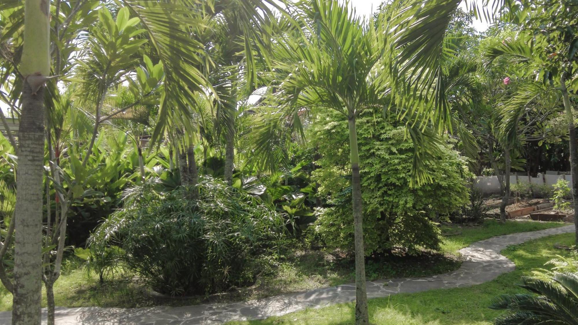 Ohmmstay - Rumah Pendopo Tanjungtirto Exteriör bild